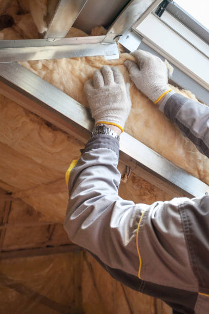 Best Specialized Insulation Services in Hamilton, MT