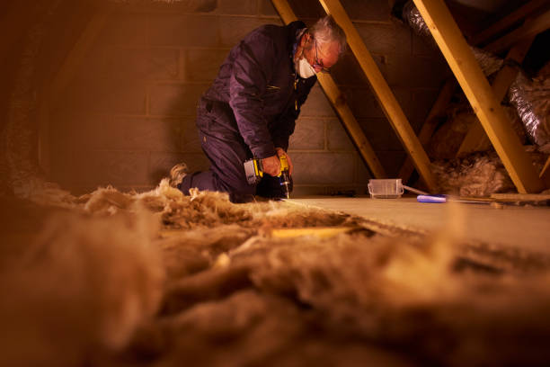 Best Eco-Friendly Insulation in Hamilton, MT